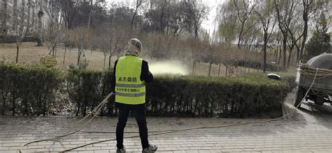 吴忠市林业技术推广服务中心春季喷洒石硫合剂有效防治林木病虫害_工作