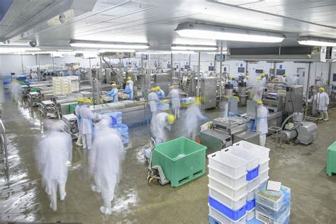 食品工厂设计GMP食品车间装修 - 中国实验室建设中心