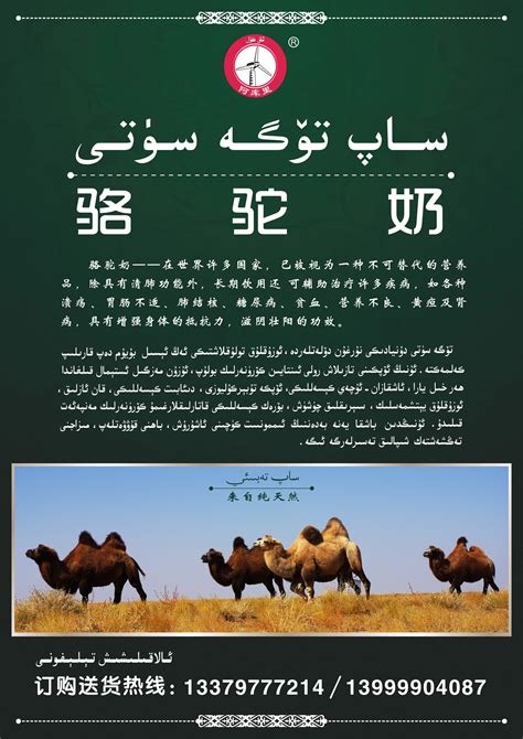 骆驼奶宣传单设计|平面|宣传品|rahat1986 - 原创作品 - 站酷 (ZCOOL)