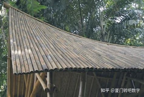 巧夺天工 丨 常见的竹屋屋顶系统 - 知乎