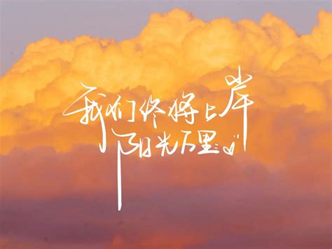 模特 的图像结果