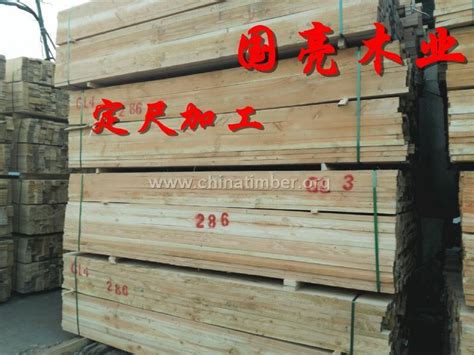 木方批发可定尺加工铁杉方木--板材原木_产品图片信息_中国木材网！