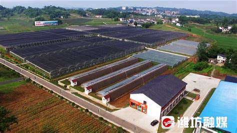透视“寿光模式”：全产业链打造农业科技新生态|上海证券报