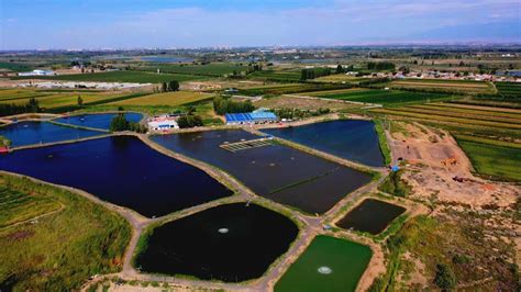 水产养殖发展前景如何？这“四种”养殖新模式，你知道吗？_种养