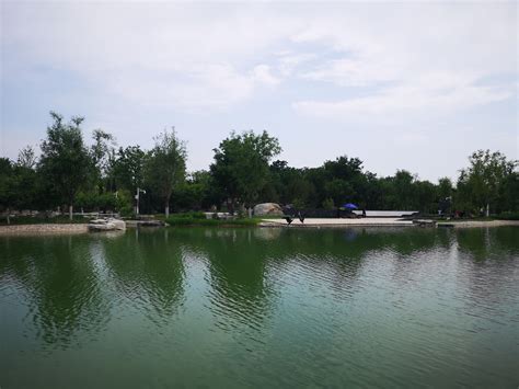 被忽略的一处美景--紫竹院公园游记-北京旅游攻略-游记-去哪儿攻略