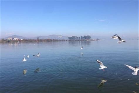 2020想去中国玉溪旅游的景点：龙马山，九龙池，抚仙湖，龙泉