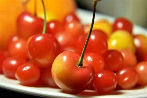 车厘子和樱桃有什么区别？是同一种水果吗？