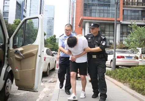 重庆警方打掉一“网络算命”诈骗团伙 210多名嫌疑人被刑拘_新闻频道_中国青年网