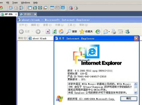IE浏览器是上历史下载的文件在哪查询 - 软件无忧