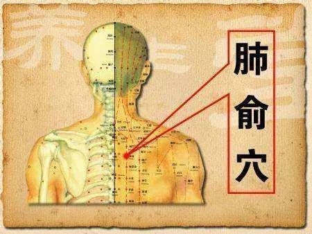 三伏贴的位置图图片
