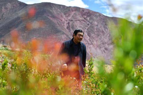 “我有一个植树梦”：扎西旺堆和他的“绿色家园”_中国网
