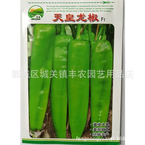 一代杂交 龙椒 黄皮辣椒种子 牛角椒 坐果能力强 10克-阿里巴巴