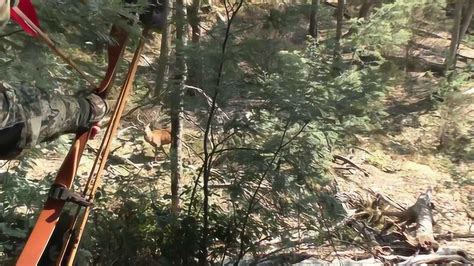 老猎人用传统长弓弓箭狩猎画面集锦，开弓射箭命中猎物的快感！_腾讯视频