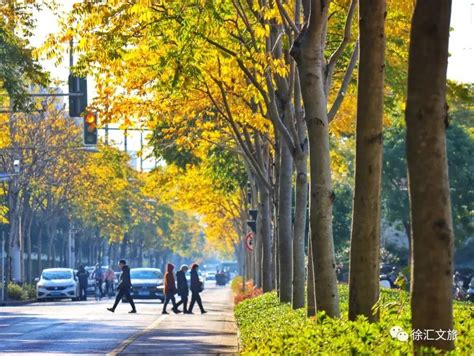 上海徐汇网站建设公司(上海徐汇网站建设公司地址) - 杂七乱八 - 源码村资源网