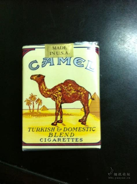 美国CAMEL(骆驼)牌香烟价格一览表图_进口蓝骆驼香烟多少钱一包-CAMEL(骆驼)有几种-中国香烟网