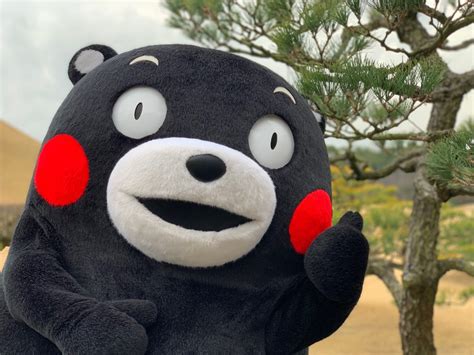 【深度】熊本熊是如何成为风靡全球的吉祥物「网红」的？ | 人人都是产品经理