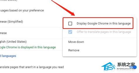 谷歌浏览器怎么改语言-Google Chrome电脑版修改界面语言的方法教程 - 极光下载站