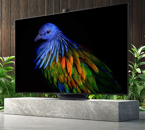 电视机哪个品牌好性价比高2022十大品牌对比