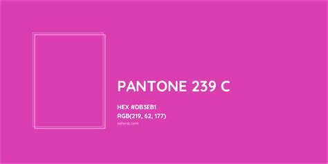 PANTONE 239 C Color HEX code