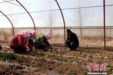 农业农村部：中国农民合作社呈现大群体、小规模特征_手机新浪网