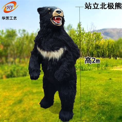 黑熊站立身高,黑熊站立,身高_大山谷图库