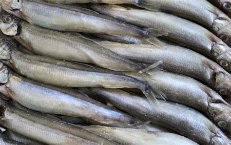 大渡河鱼肉质鲜美的鱼宴佳肴 - 甘孜藏族自治州人民政府网站