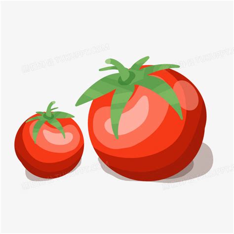 卡通手绘西红柿蔬菜元素PNG图片素材下载_手绘PNG_熊猫办公