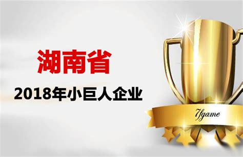 2018年湖南省小巨人企业拟定名单公示-长沙软件公司