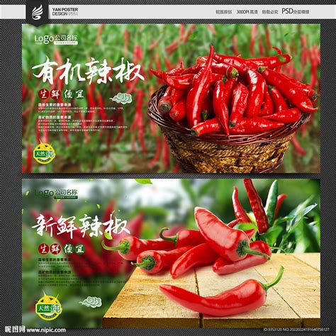 辣椒饮食文化模板-包图网