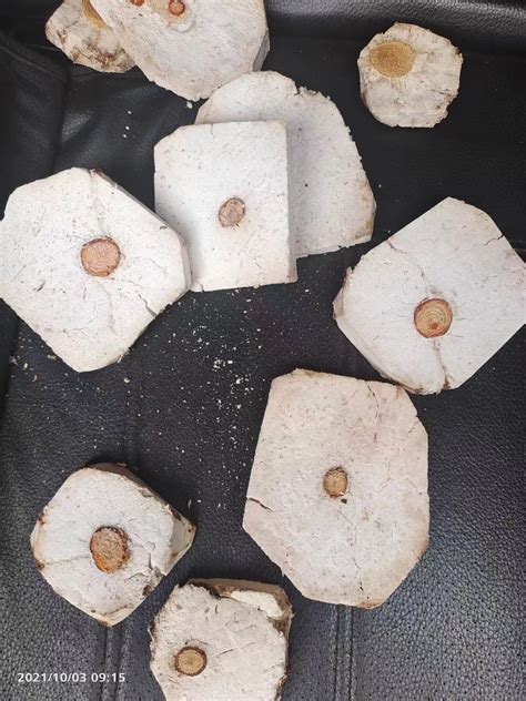 茯神的图片