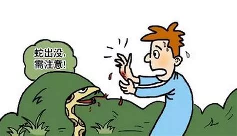 彪悍!20岁女子散步被蛇咬伤 徒手抓活蛇上急诊 -新闻中心-杭州网