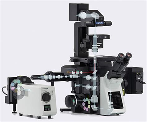 奥林巴斯显微镜CKX53OLYMPUS奥林巴斯显微镜CKX53 【品牌|参数|图片|报价】现货总代理价格,详情介绍-960化工网