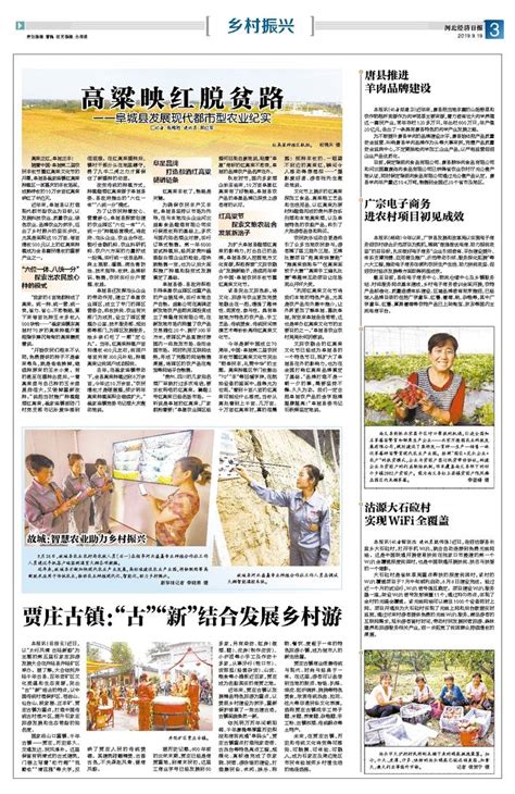 唐县推进 羊肉品牌建设 河北经济日报·数字报