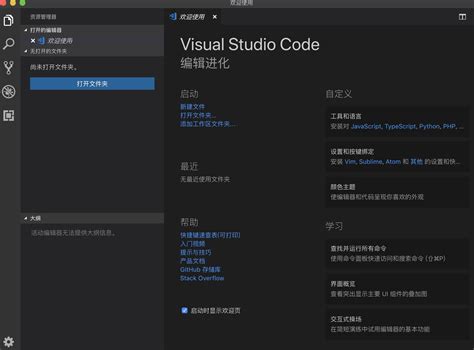 visual studio code安装包图片预览_绿色资源网