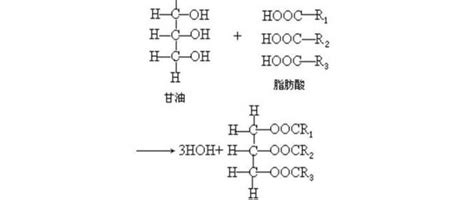 摩尔盐[(NH4)2SO4·FeSO4·6H2O]是一种复盐，它易溶于水，不溶于乙醇，性质比一般亚铁盐稳定，不易被氧化。某实验小组查得硫酸铵 ...