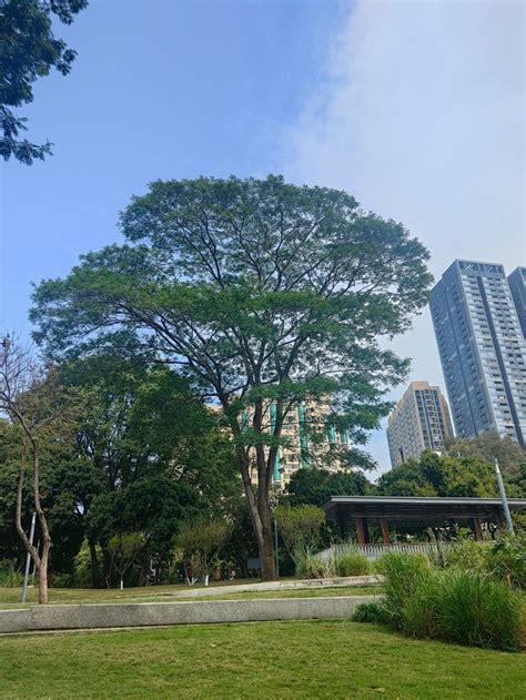 楹绘枡图片