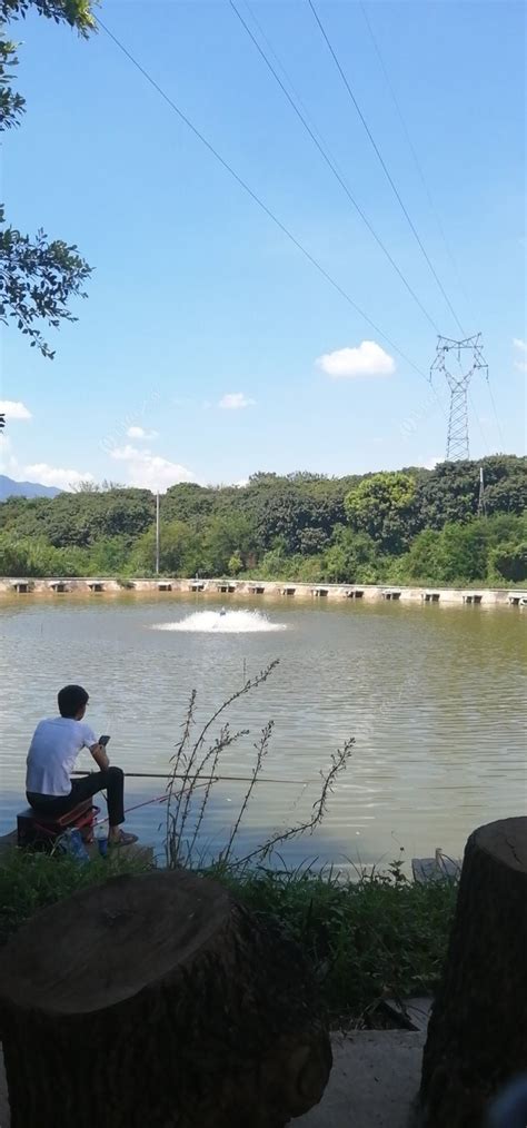 大坑口水库_大坑口水库钓鱼攻略_大坑口水库可以钓鱼吗 - 钓鱼之家