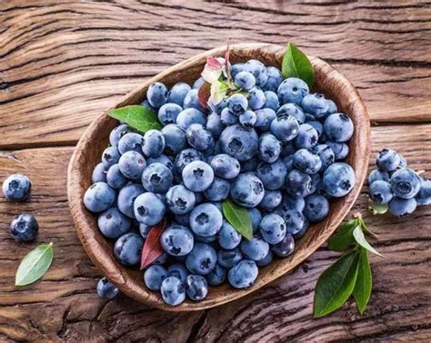 富硒蓝莓营养价值和保健功效有那些-云南云博硒农业发展有限公司