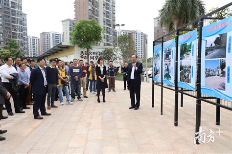 云阳：推进街头绿化 提升城市品质 重庆风景园林网 重庆市风景园林学会