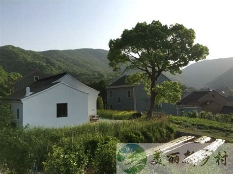 杭州年租3.8万的农村别墅与宁波年租5万的农村平房，哪个更好？|公众平台|浙江|农村_新浪新闻