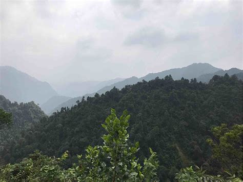 南岭国家森林公园：广东天然生态保护屏障，有广东物种宝库的美誉