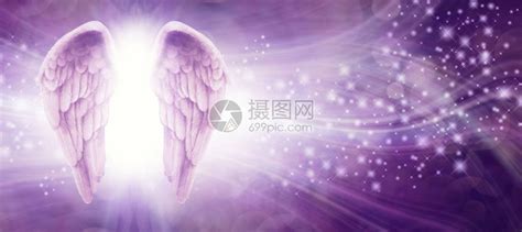 紫色闪光天使之翼留言板插画图片下载-正版图片402386010-摄图网