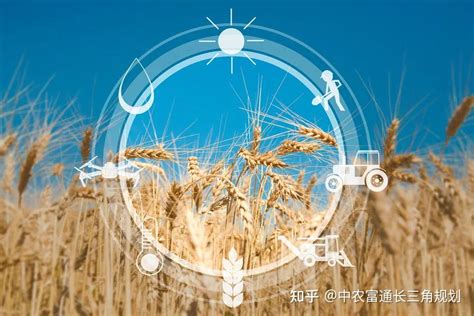 中国农技协乡村振兴大讲堂第十期 | 农村三产融合发展-中国农村专业技术协会