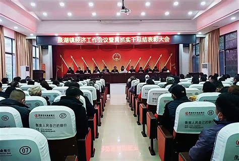 衡南县泉湖镇表彰2021年度真抓实干先进单位和个人_湖南民生网