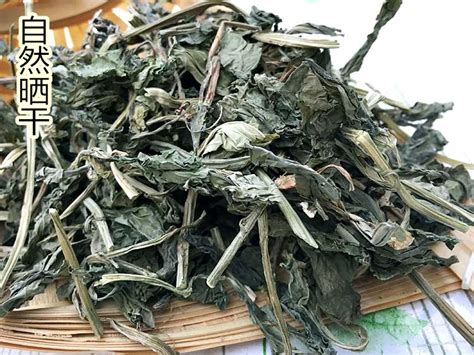 灵草植物园林1000&#215;666666&#215;30图片