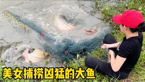 听村们说鱼塘有恐惧的，大鱼出没，美女用撒网捕捞_腾讯视频