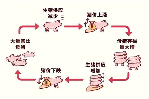 猪周期与存栏分析 一、历年猪周期行情如何演绎1、历史上的五次猪周期波动从2002年至今，我国一共经历了5轮猪周期，每轮猪周期持续时间3-4... - 雪球