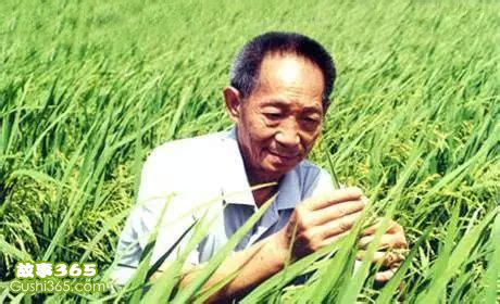 “杂交水稻之父”袁隆平获改革先锋称号 却笑称“学农是意外”|袁隆平|三湘名人|人物|湖南人在上海