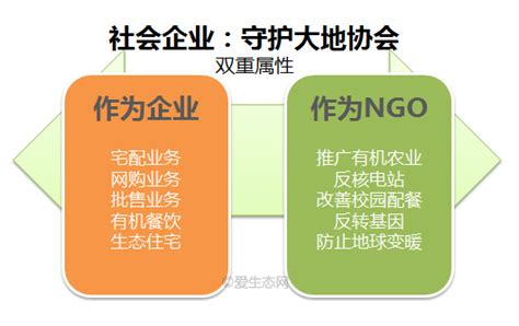 ngo在中国（NGO在中国是什么意思）