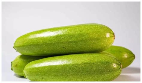 南瓜的种植方法和技术 —【发财农业网】
